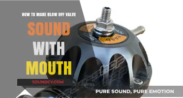 Mastering the Art of Mimicking Blow Off Valve Sounds with Your Mouth