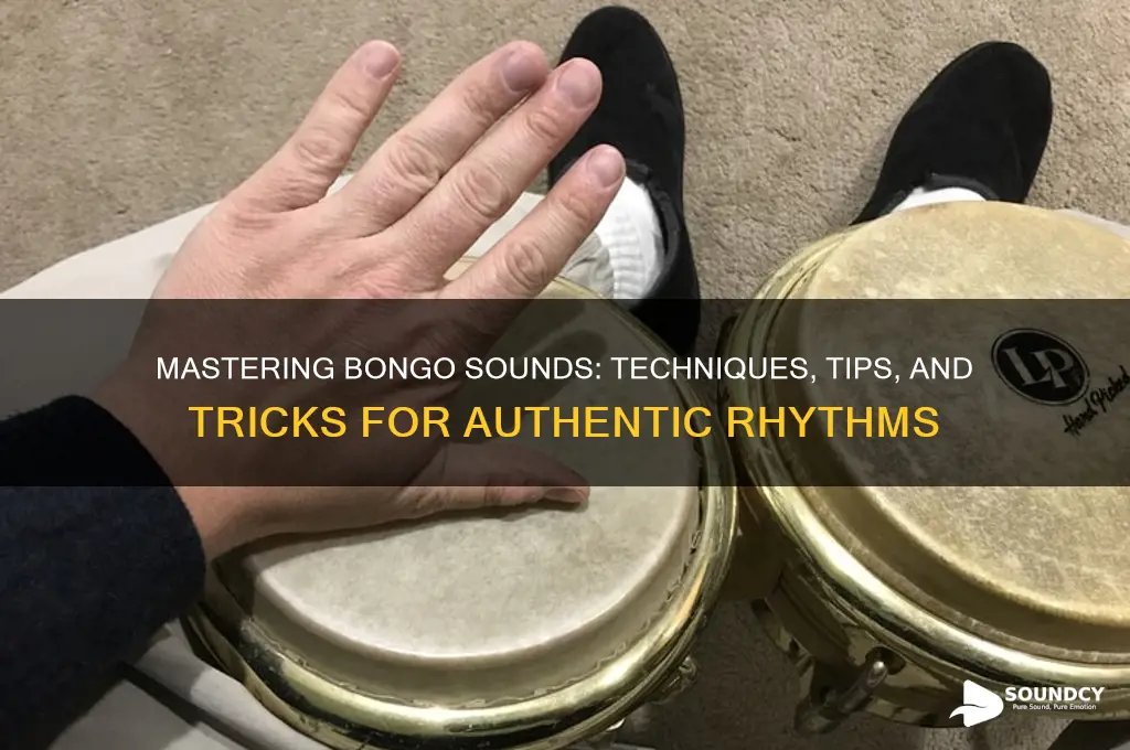 how to make bongo sounds