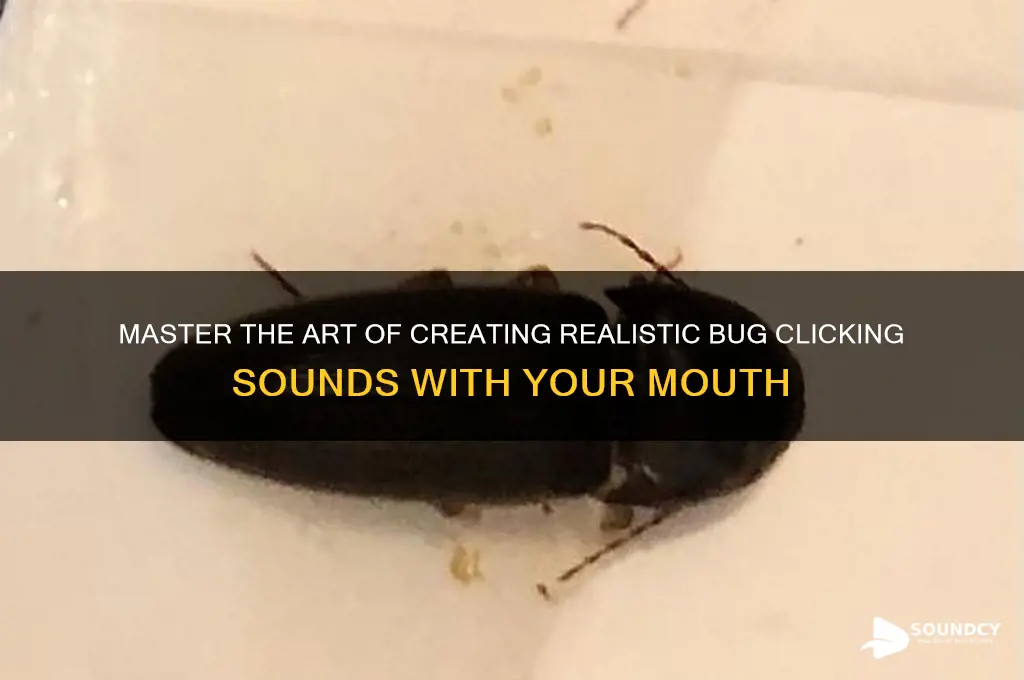 how to make bug clicking sound with your mouth