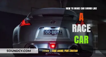 Rev Up Your Ride: Transforming Your Car's Sound to Race Car Level