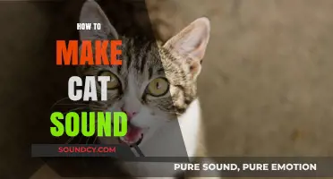 Mastering Meows: A Beginner’s Guide to Creating Cat Sounds