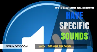 Crafting Unique Sounds for Specific Donation Amounts: A Creative Guide