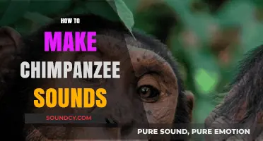 Mastering Chimpanzee Communication: A Guide to Making Authentic Sounds