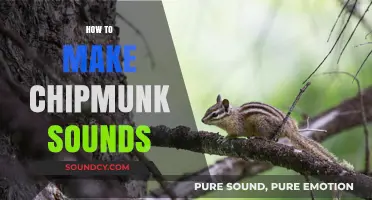 Master the Art of Mimicking Chipmunk Sounds: A Step-by-Step Guide