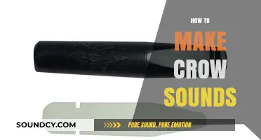 Mastering Crow Calls: Techniques to Perfectly Mimic Crow Sounds