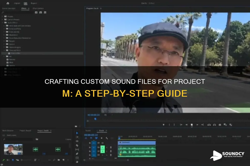 how to make custom sound files for project m