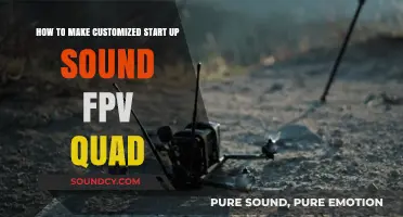Customizing Your FPV Quad's Startup Sound: A Step-by-Step Guide