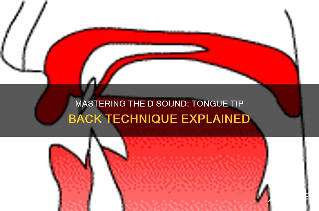 how to make d sound with tongue tip back