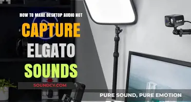 Mute Elgato Audio: Desktop Capture Without Unwanted Sounds