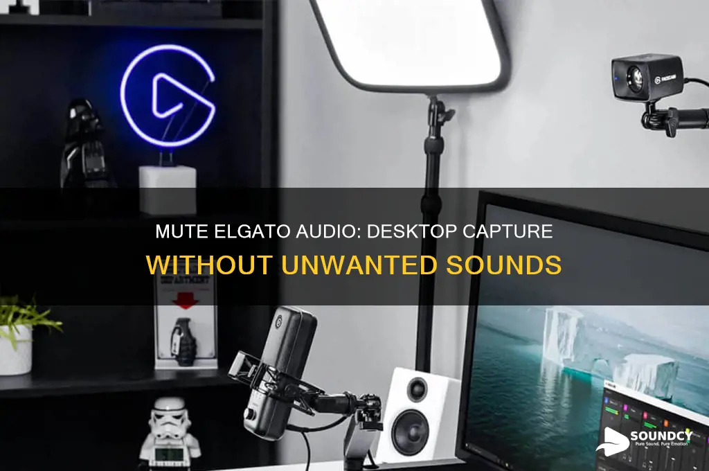 how to make desktop audio not capture elgato sounds
