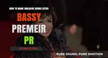 Amplify Your Dialogue: Mastering Bassy Audio in Premiere Pro