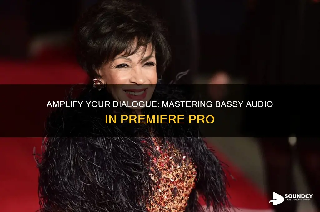 how to make dialogue sound extra bassy premeir pr