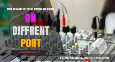Routing Audio: Assigning Unique Sounds to Different Ports in Programs