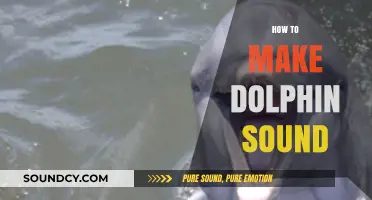 Mastering the Art of Mimicking Dolphin Sounds: A Step-by-Step Guide