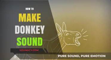 Mastering the Art of Making a Realistic Donkey Sound