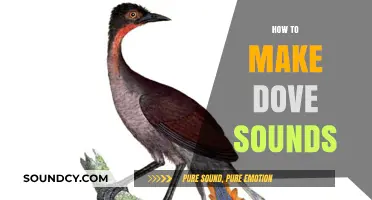 Master the Art of Mimicking Dove Sounds: A Step-by-Step Guide
