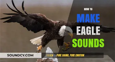 Mastering Majestic Eagle Calls: Techniques to Mimic Their Powerful Sounds