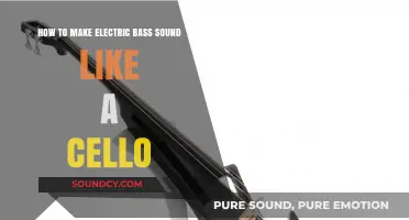 Transform Your Electric Bass: Achieving Rich Cello-Like Tones and Techniques