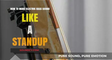 Mastering the Art: Transform Your Electric Bass into a Standup Sound
