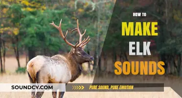 Mastering the Art of Elk Calls: Techniques for Realistic Sounds