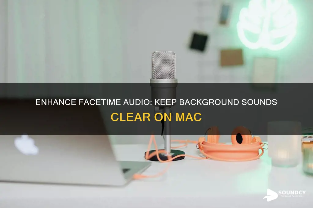 how to make facetime not lower background sound mac