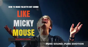 Mastering Falsetto: Techniques to Avoid the Mickey Mouse Effect