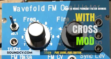Mastering Formant Filter Sounds: Cross Modulation Techniques for Unique Vocals
