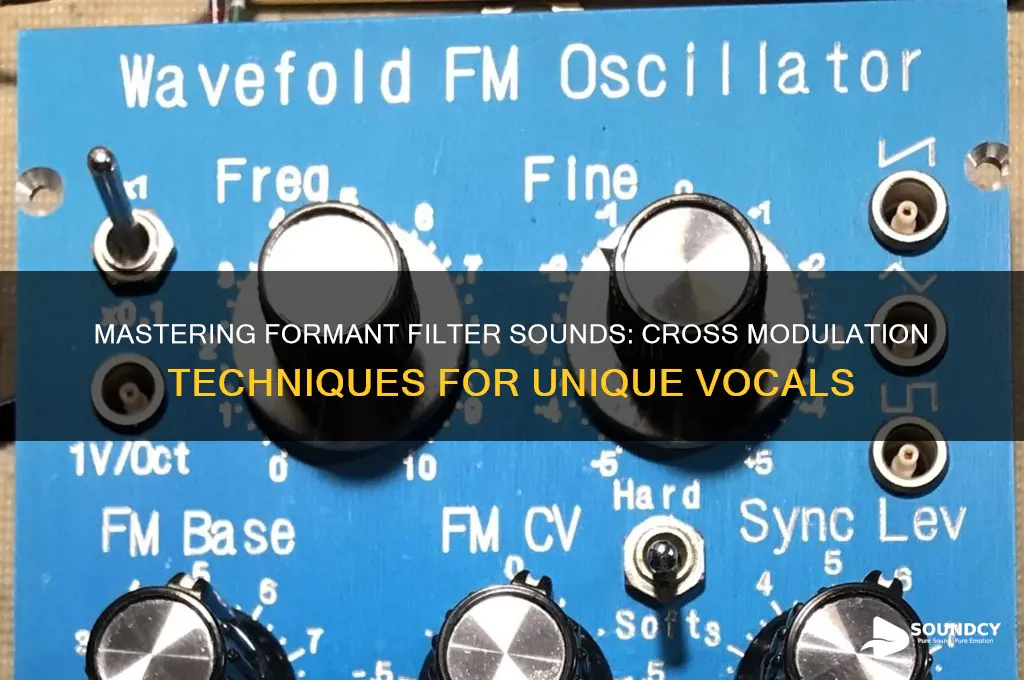 how to make formant filter sounds with cross mod