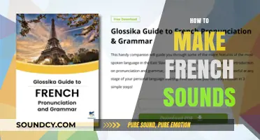Mastering French Pronunciation: A Beginner's Guide to Authentic Sounds