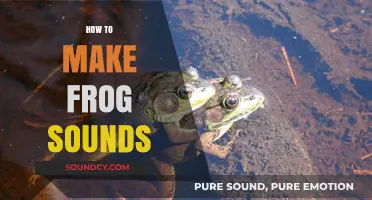 Master the Art of Creating Realistic Frog Sounds: A Step-by-Step Guide