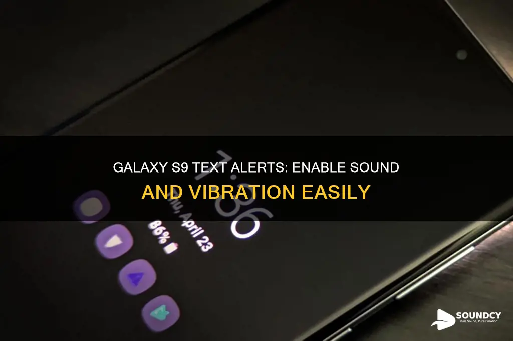 how to make galaxy s9 text sound and vibrate