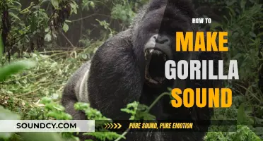 Mastering the Art of Making Realistic Gorilla Sounds: A Step-by-Step Guide