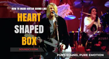 Mastering Nirvana's Tone: How to Make Your Guitar Sound Like 'Heart-Shaped Box