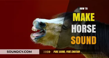 Mastering the Art of Horse Sounds: A Step-by-Step Guide