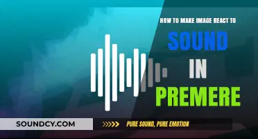 Syncing Visuals to Audio: Making Images React to Sound in Premiere Pro