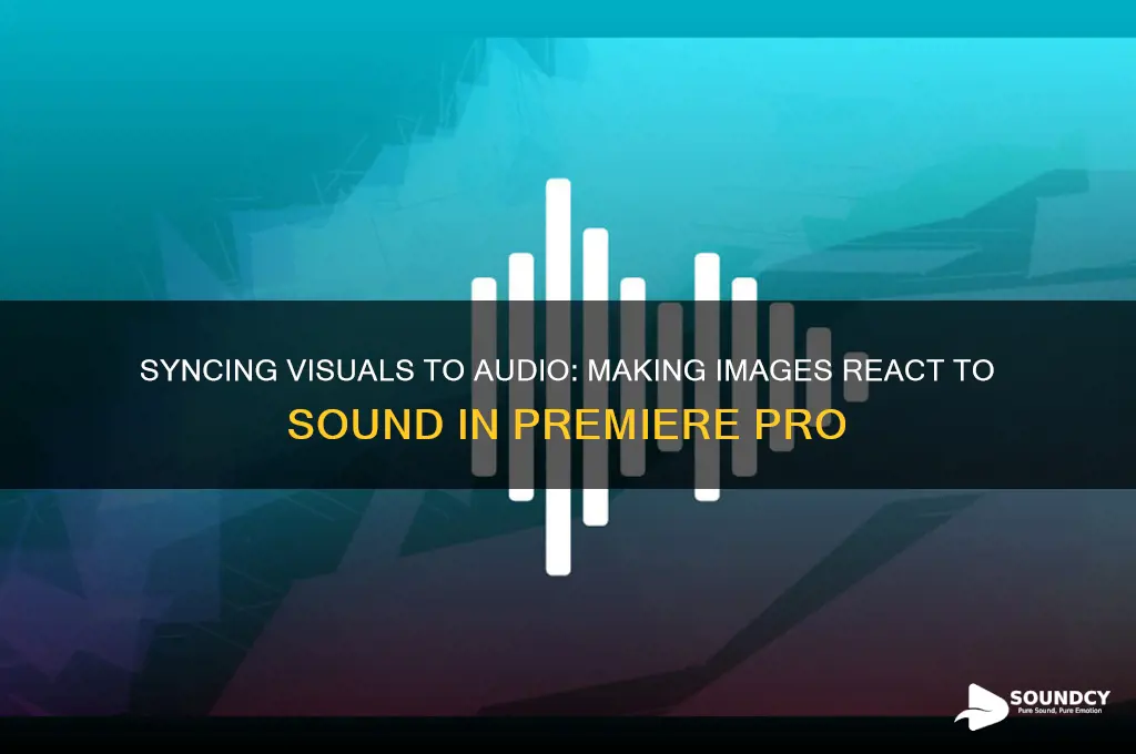 how to make image react to sound in premere