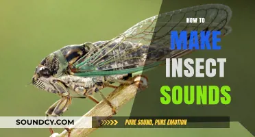 Mastering the Art of Creating Realistic Insect Sounds at Home