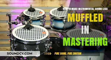 Mastering Clarity: Techniques to Unmuffle Your Instrumental Mixes