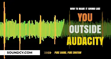Create Outdoor Ambience in Audacity: Simple Techniques for Realistic Soundscapes
