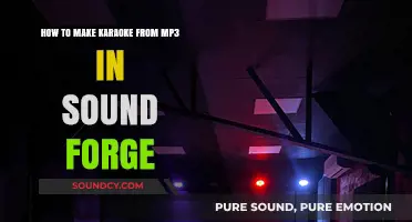 Create Karaoke Tracks from MP3s Using Sound Forge: A Guide