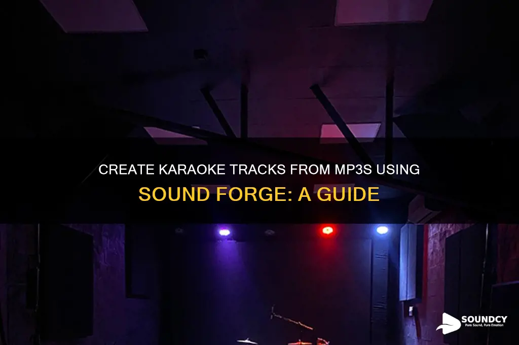how to make karaoke from mp3 in sound forge