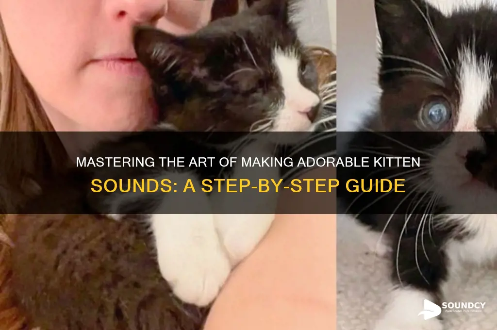 how to make kitten sound