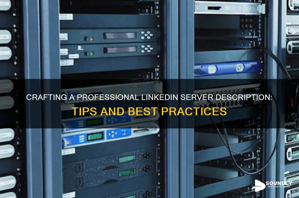 how to make linkedin description for server sound professional