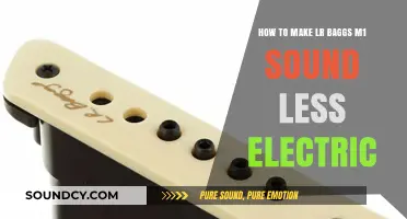 Taming the M1: Tips to Warm Up Your LR Baggs Acoustic Tone