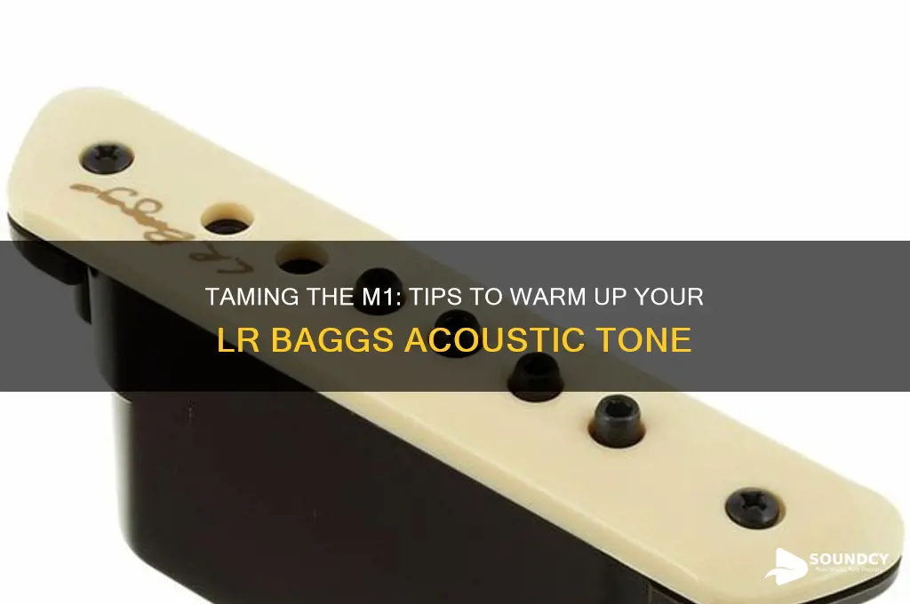 how to make lr baggs m1 sound less electric