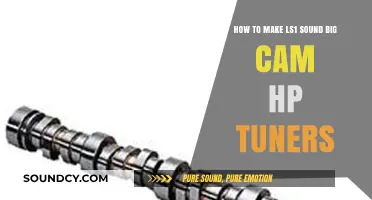 Maximize LS1 Power: Big Cam Tuning with HP Tuners Guide