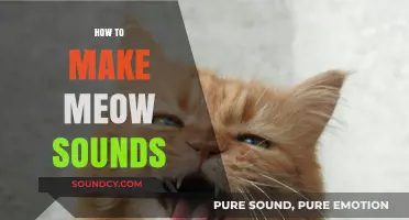 Mastering Meow Sounds: A Beginner's Guide to Cat Communication