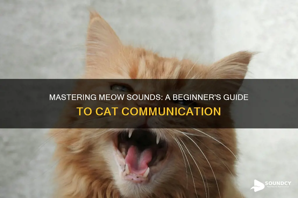 how to make meow sounds