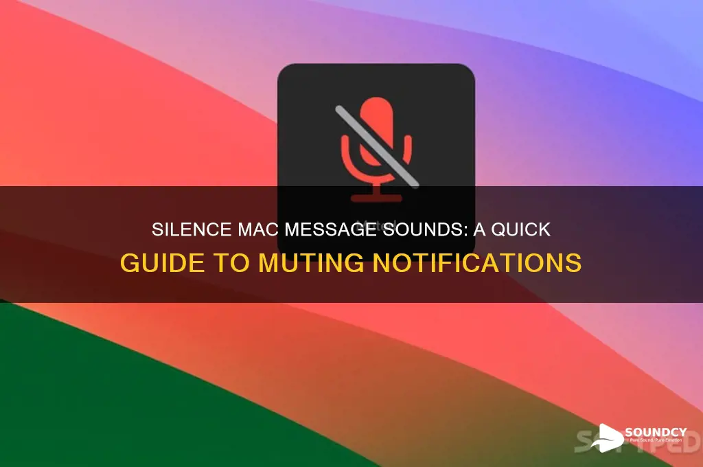 how to make messages on mac stop making sound