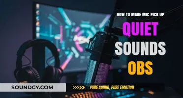 Enhance OBS Audio: Capture Quiet Sounds with Your Mic Effectively